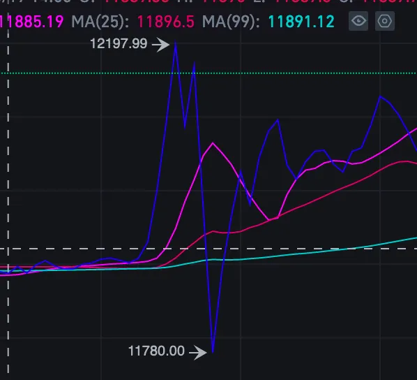 Bitcoin Price Fluctuation