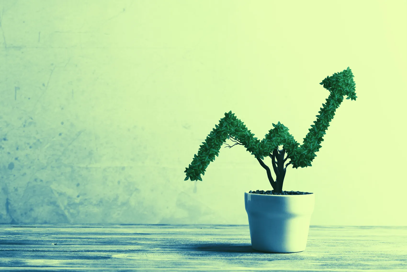 Digital assets are very popular. Image: Shutterstock