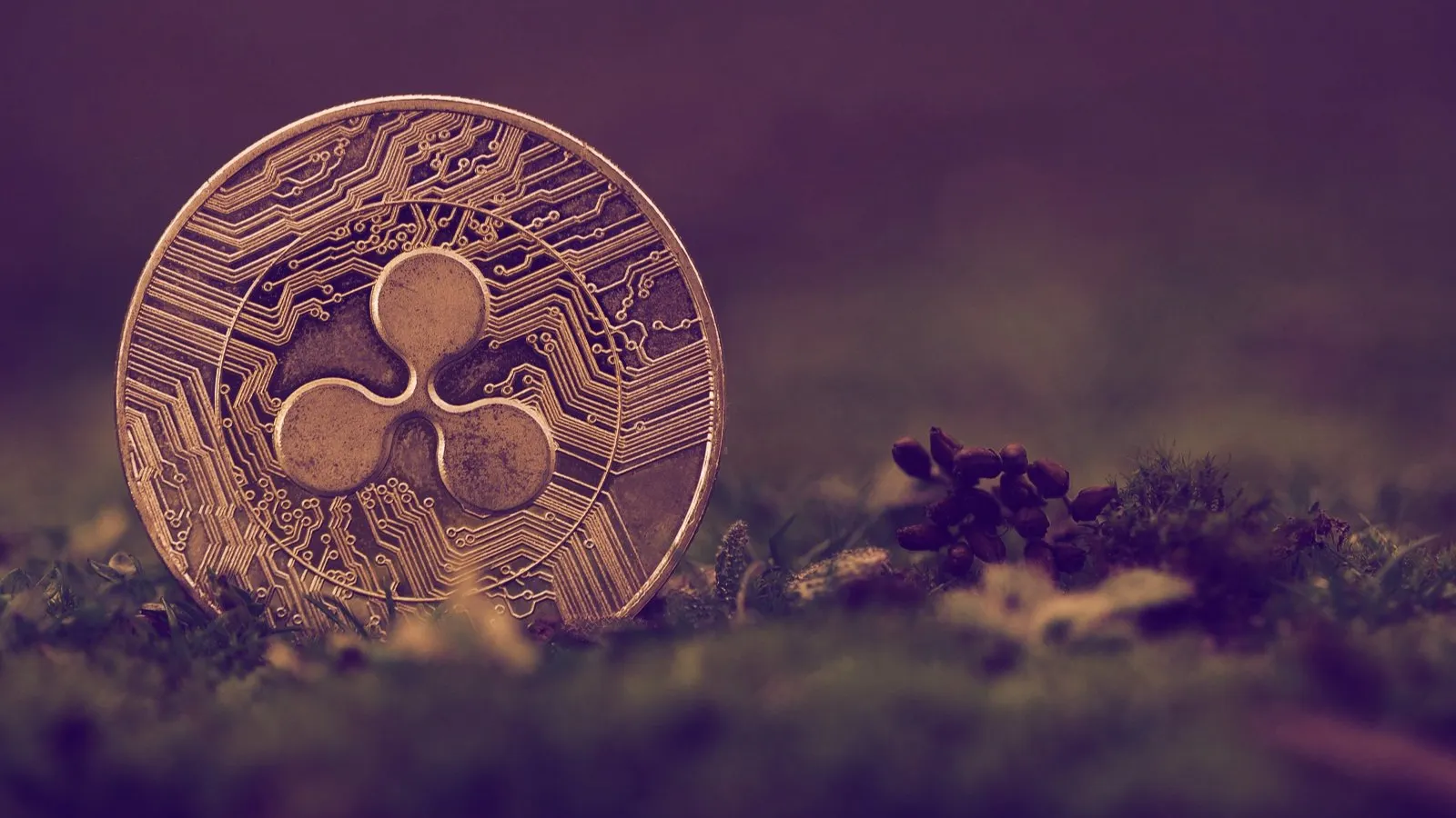 Ripple creates a tool to reduce crypto's carbon footprint. Image: Shutterstock