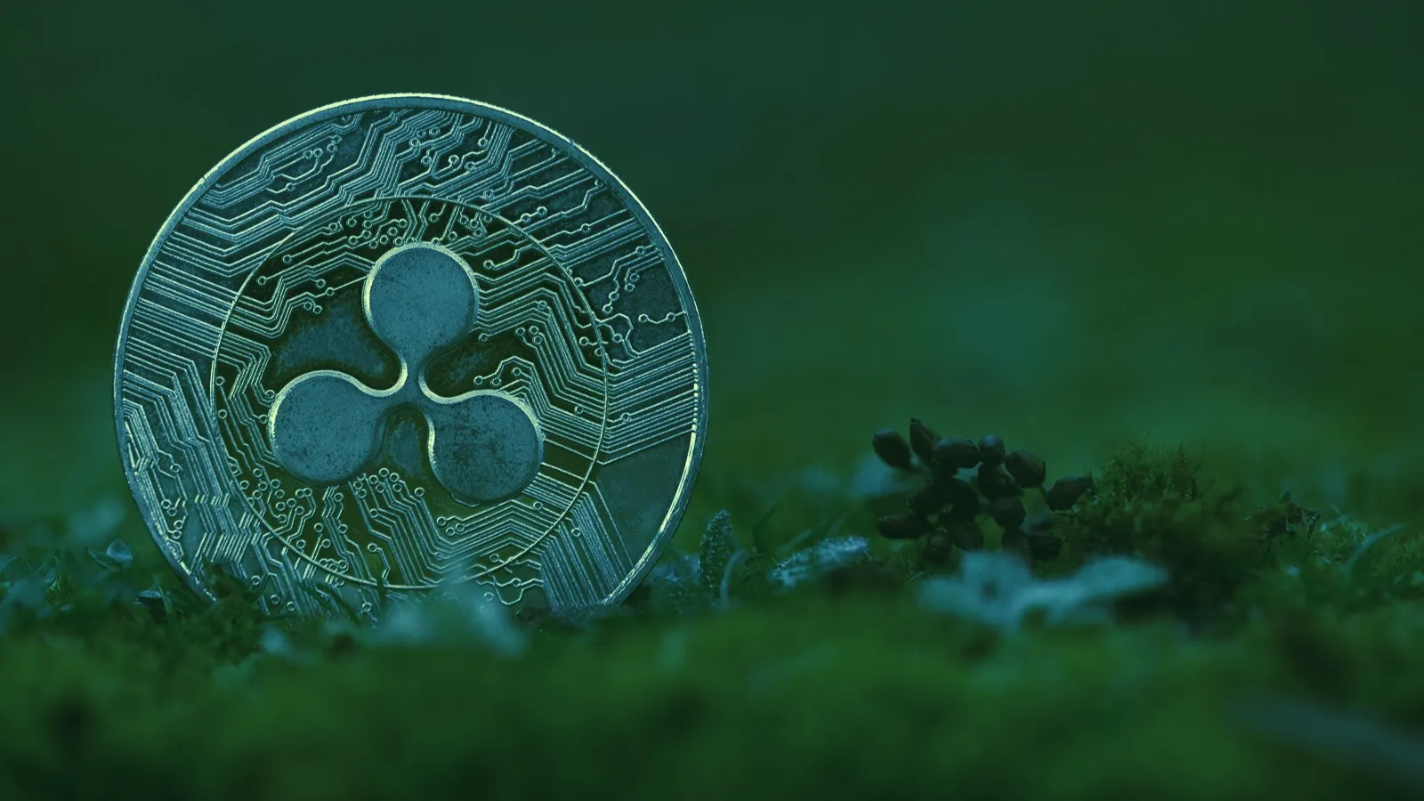 Ripple Joins NFT Boom With Launch of $250M Creator Fund - Decrypt