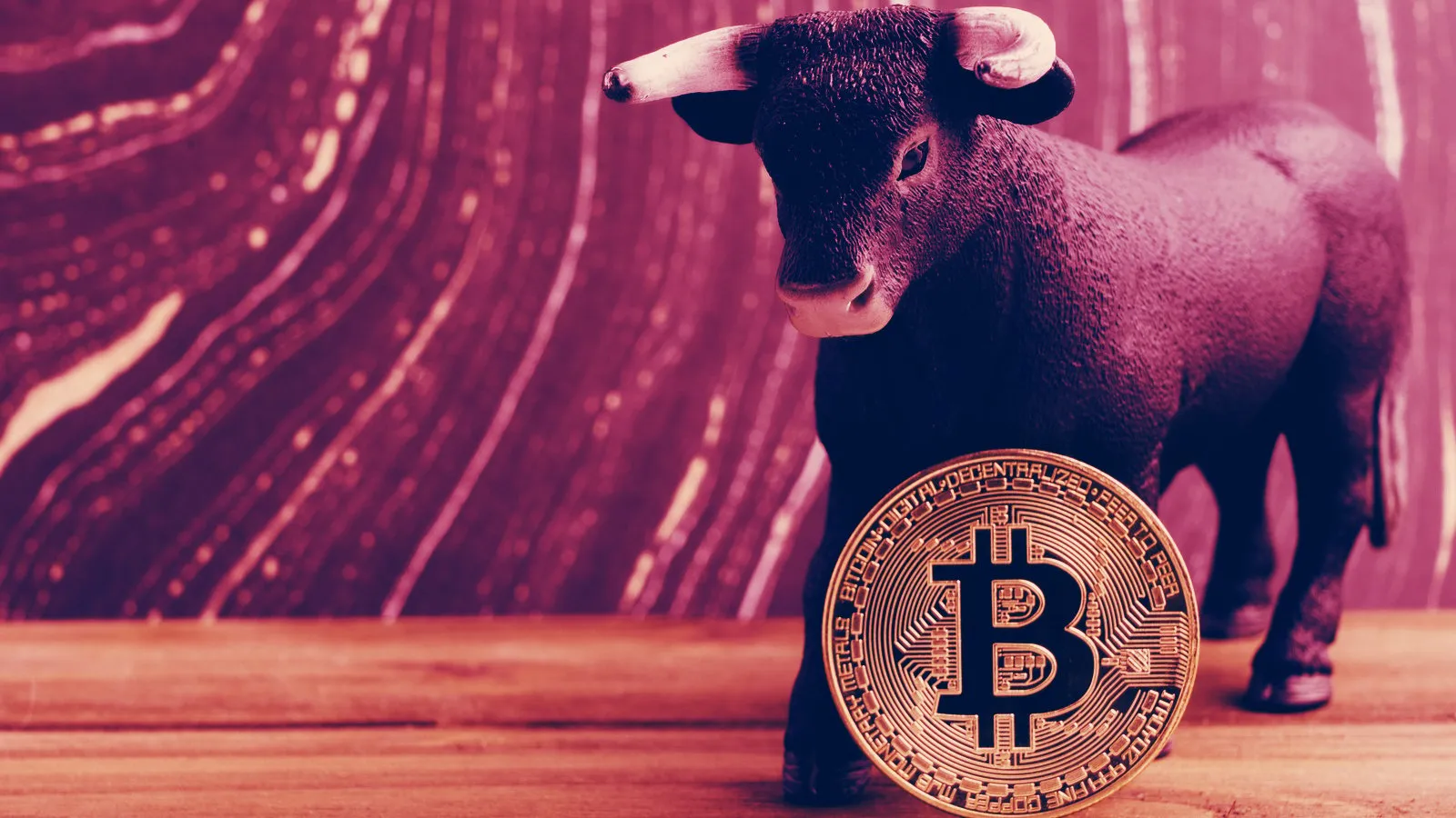Bitcoin bull run. Image: Shutterstock