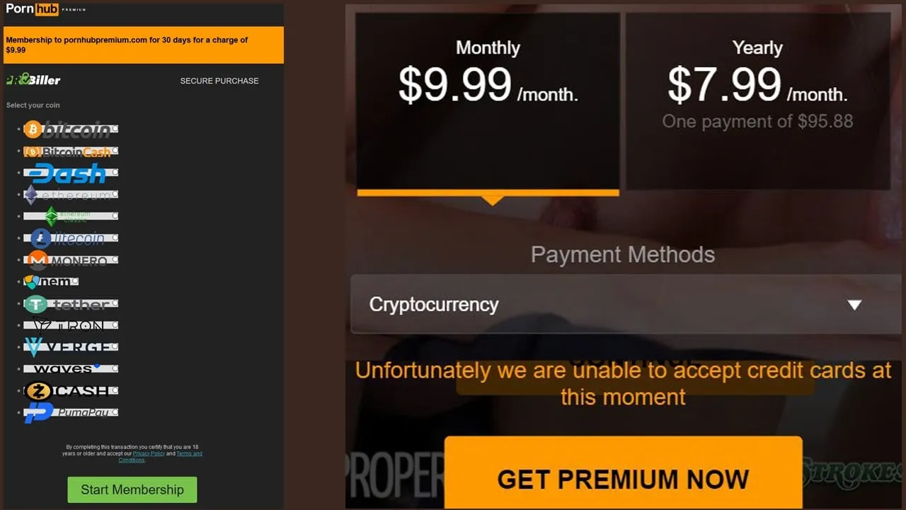 El sitio de Pornhub dijo hoy que sólo aceptaría criptomonedas.