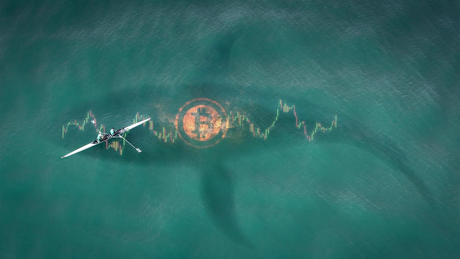 Bitcoin Whales. IMAGE: Shutterstock