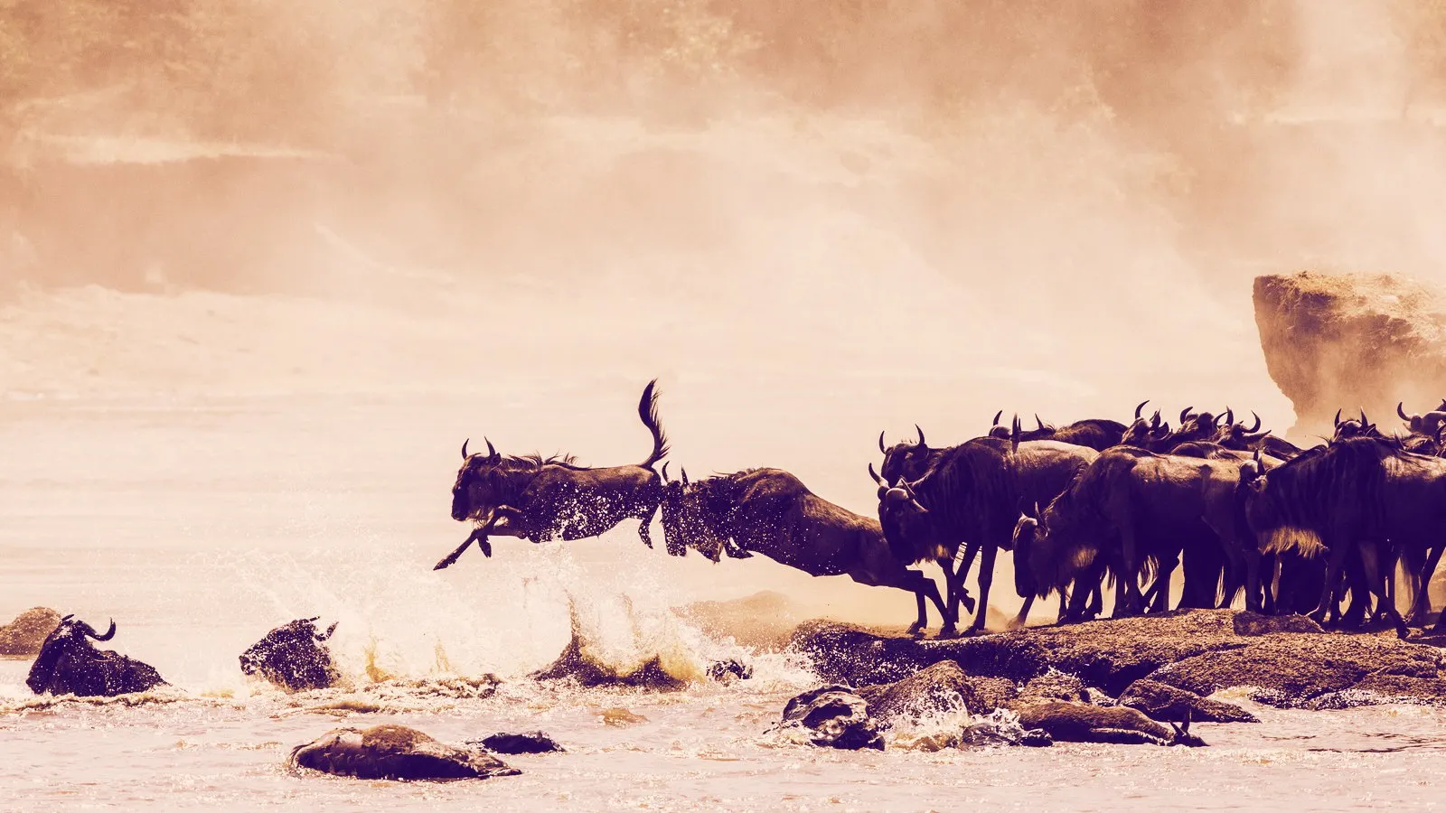 Blockchain migration. Image: Shutterstock