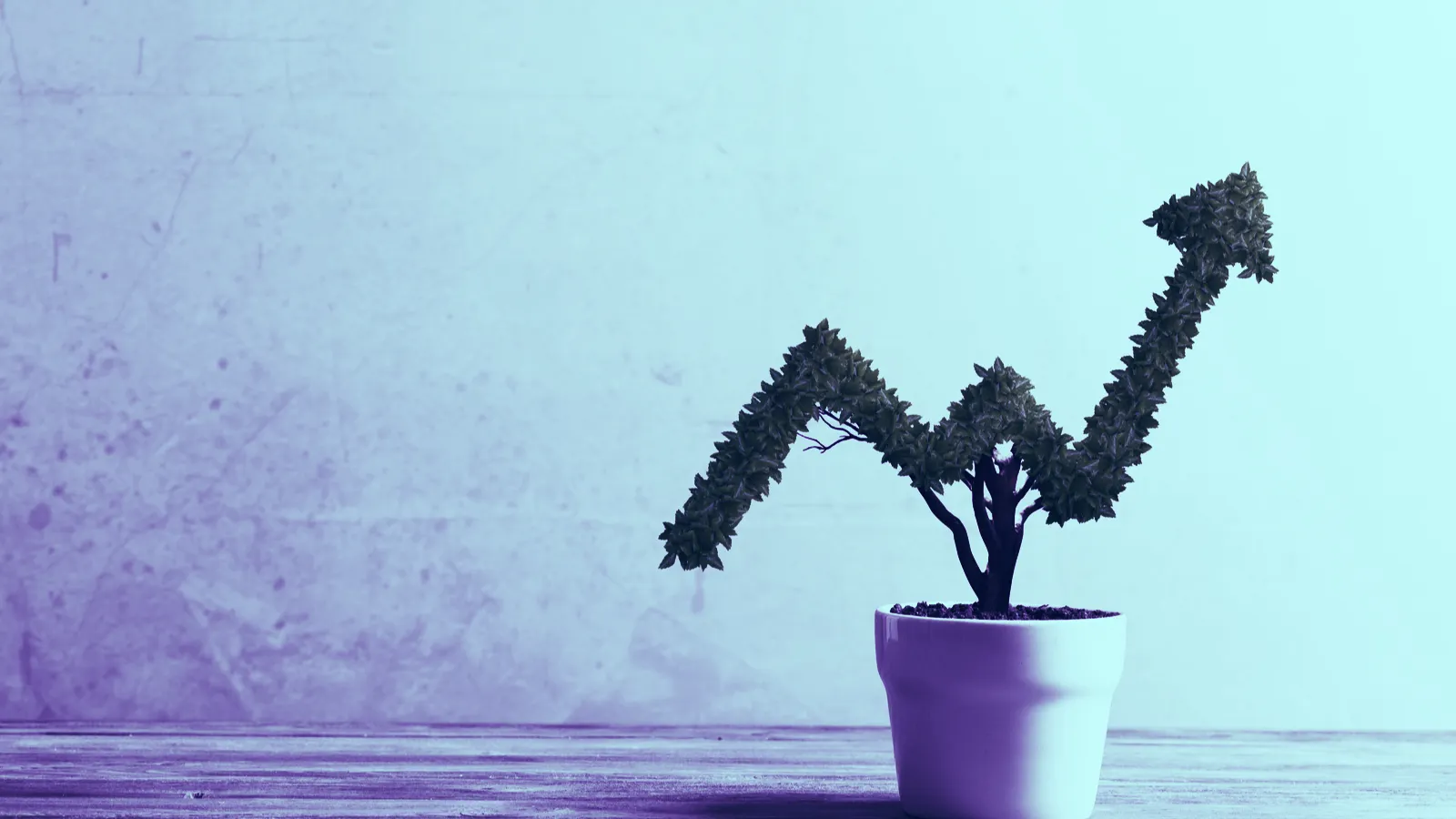 Small plant in pot shaped like growing graph. Image: Shutterstock