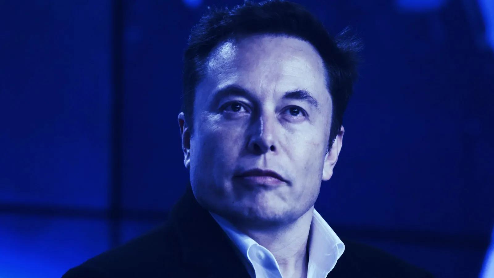Elon Musk, CEO of Tesla. Image: Shutterstock