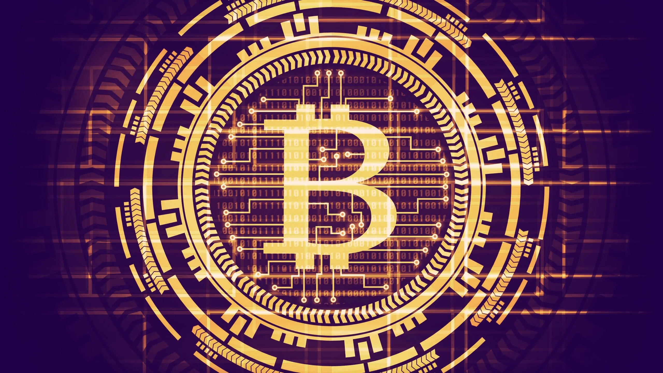 Bitcoin's blockchain is full of data. Image: Shutterstock.