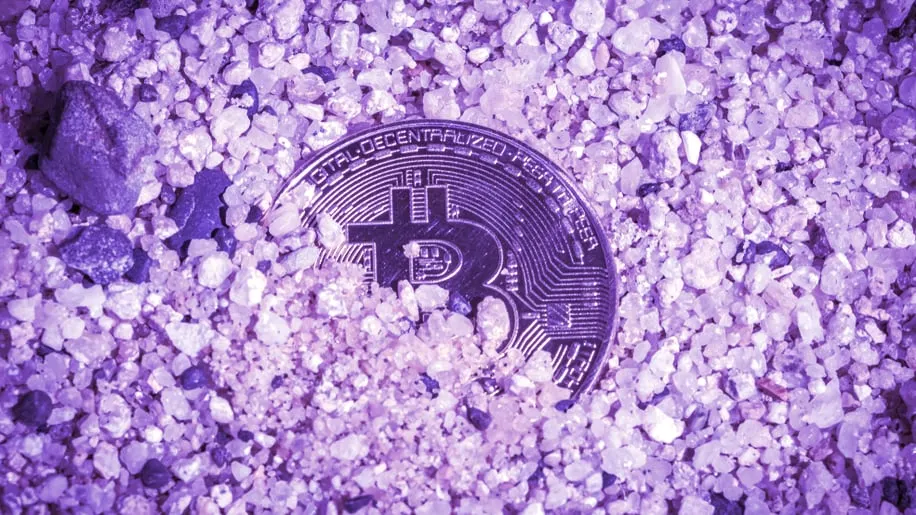El hombre de Newport pide permiso al consejo para desenterrar el Bitcoin perdido. Imagen: Shutterstock
