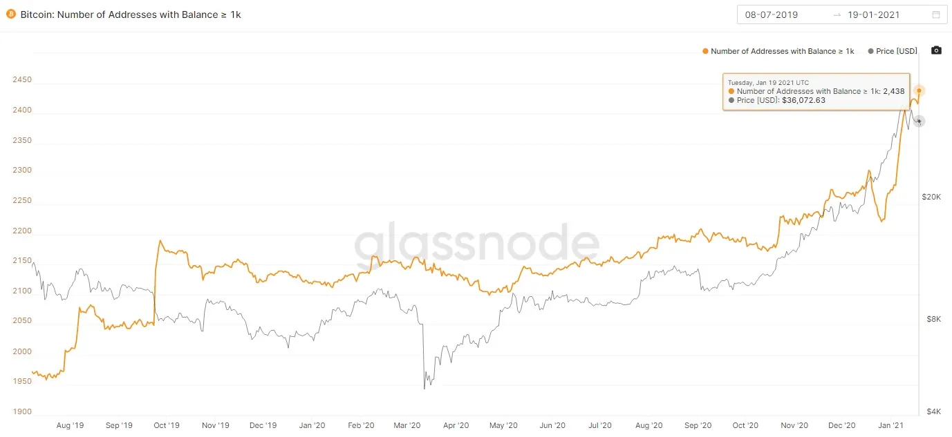 The number of Bitcoin whales is growing