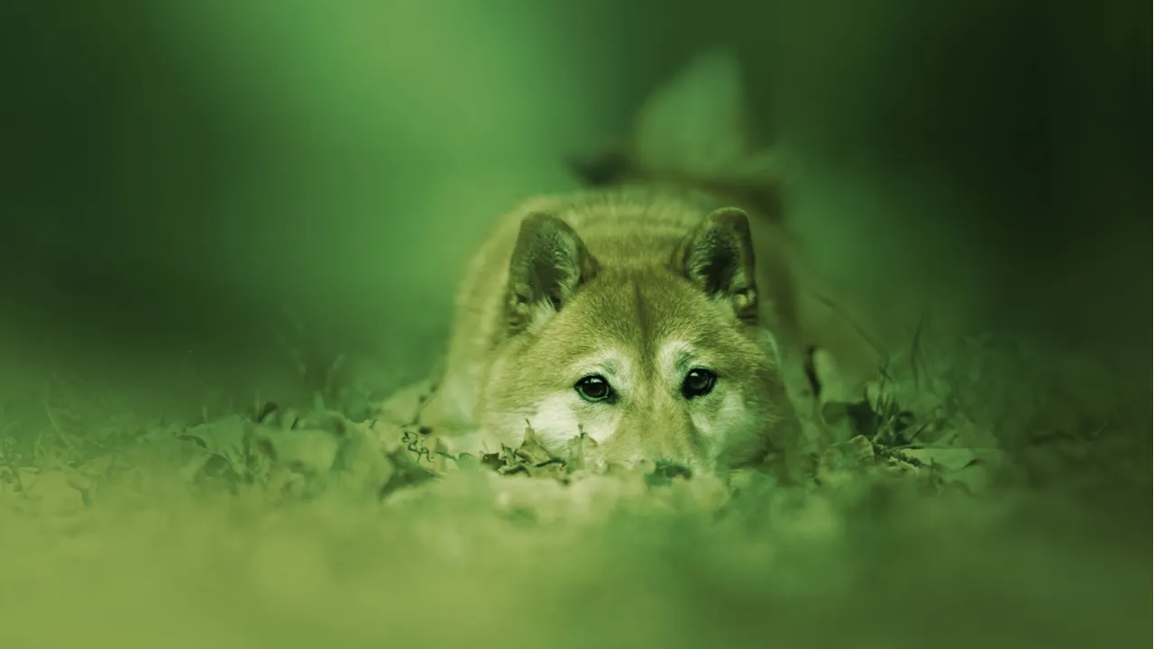 A shiba inu is the mascot of Dogecoin. Image: Shutterstock
