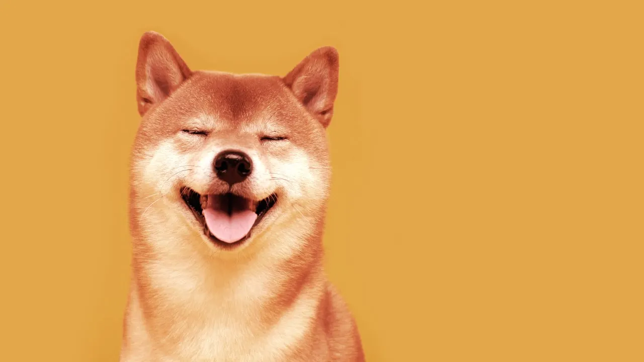 Shiba Inu SHIB Jumps 20 Following Robinhood Listing Decrypt