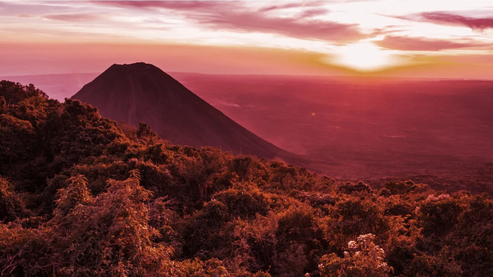 Un volcán en el Parque Nacional Cerro Verde de El Salvador. Imagen: Shutterstock