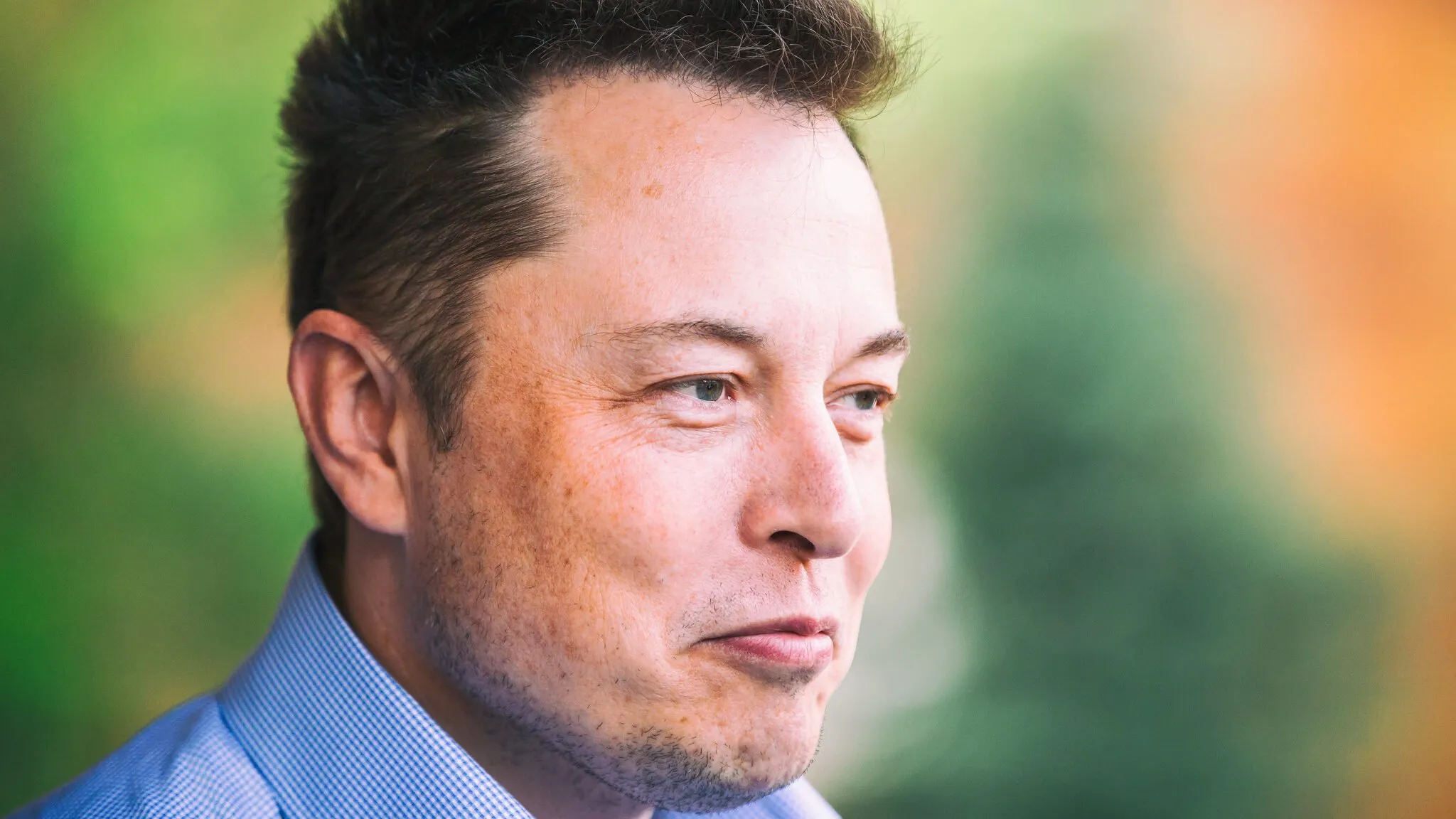 Elon Musk in 2015. Image: Shutterstock