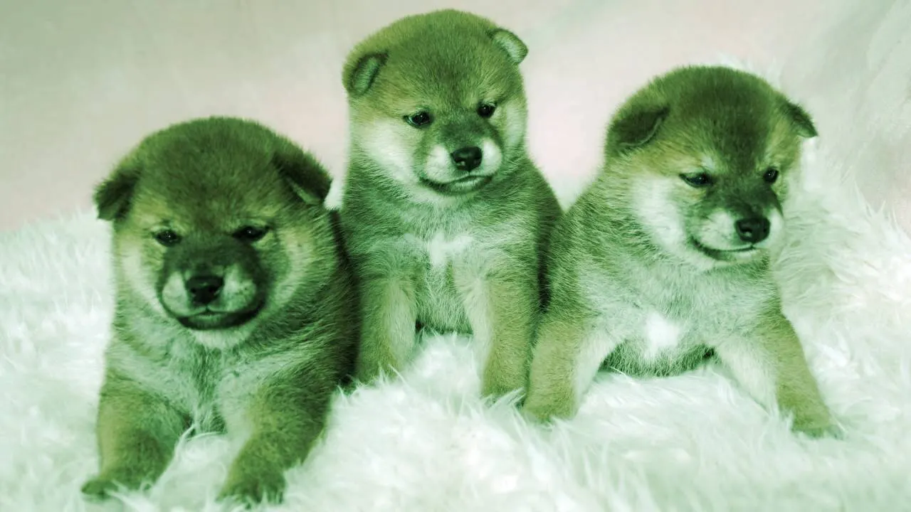 Proliferan las monedas meme como el Baby Doge. Imagen: Shutterstock