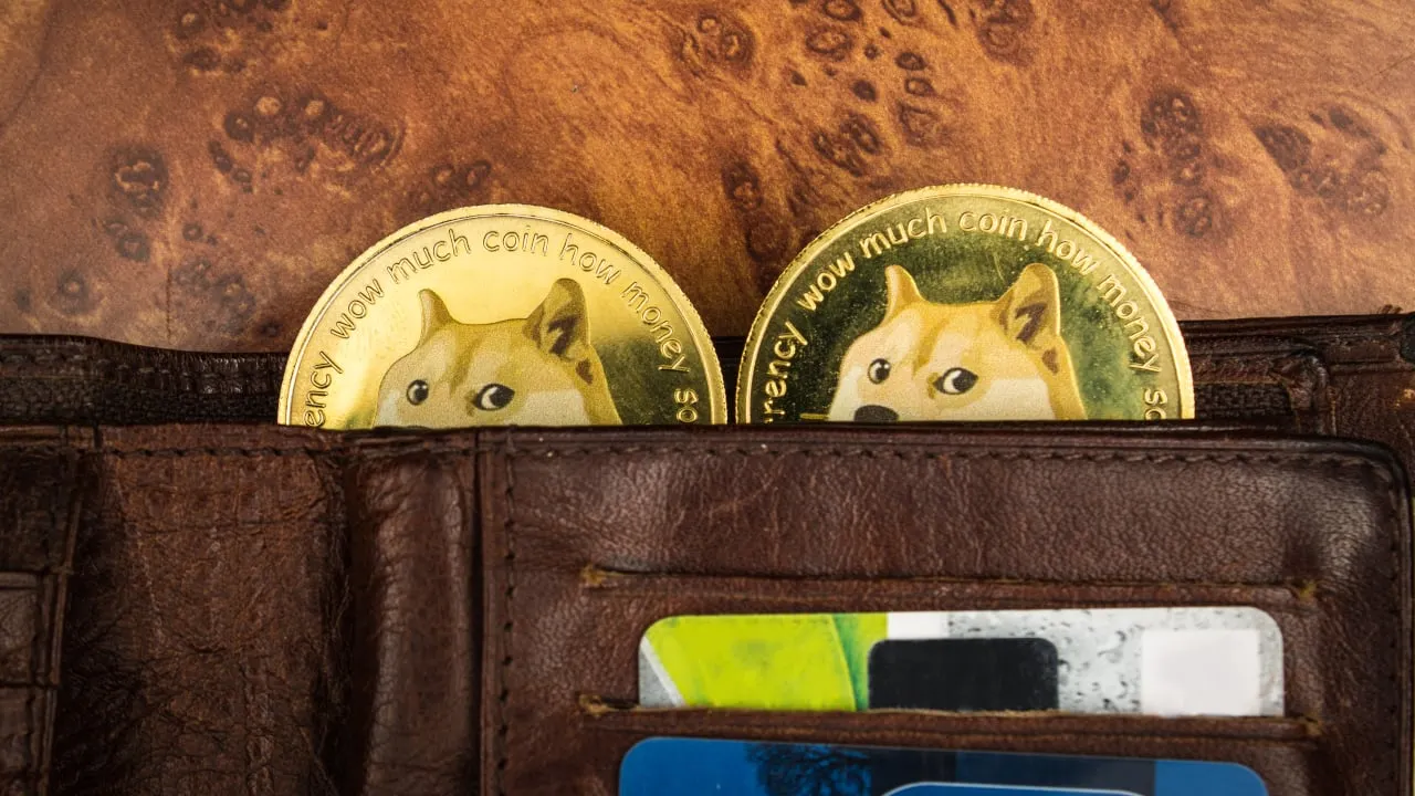 ¿Tienes Dogecoin en tu wallet de criptomonedas? Imagen: Shutterstock