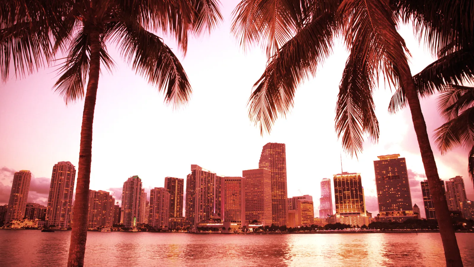 Miami. Image: Shutterstock