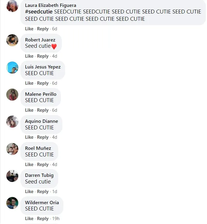 Comentarios de Seed Cutie en un grupo de Facebook de Plant vs Undead. Imagen: Facebook