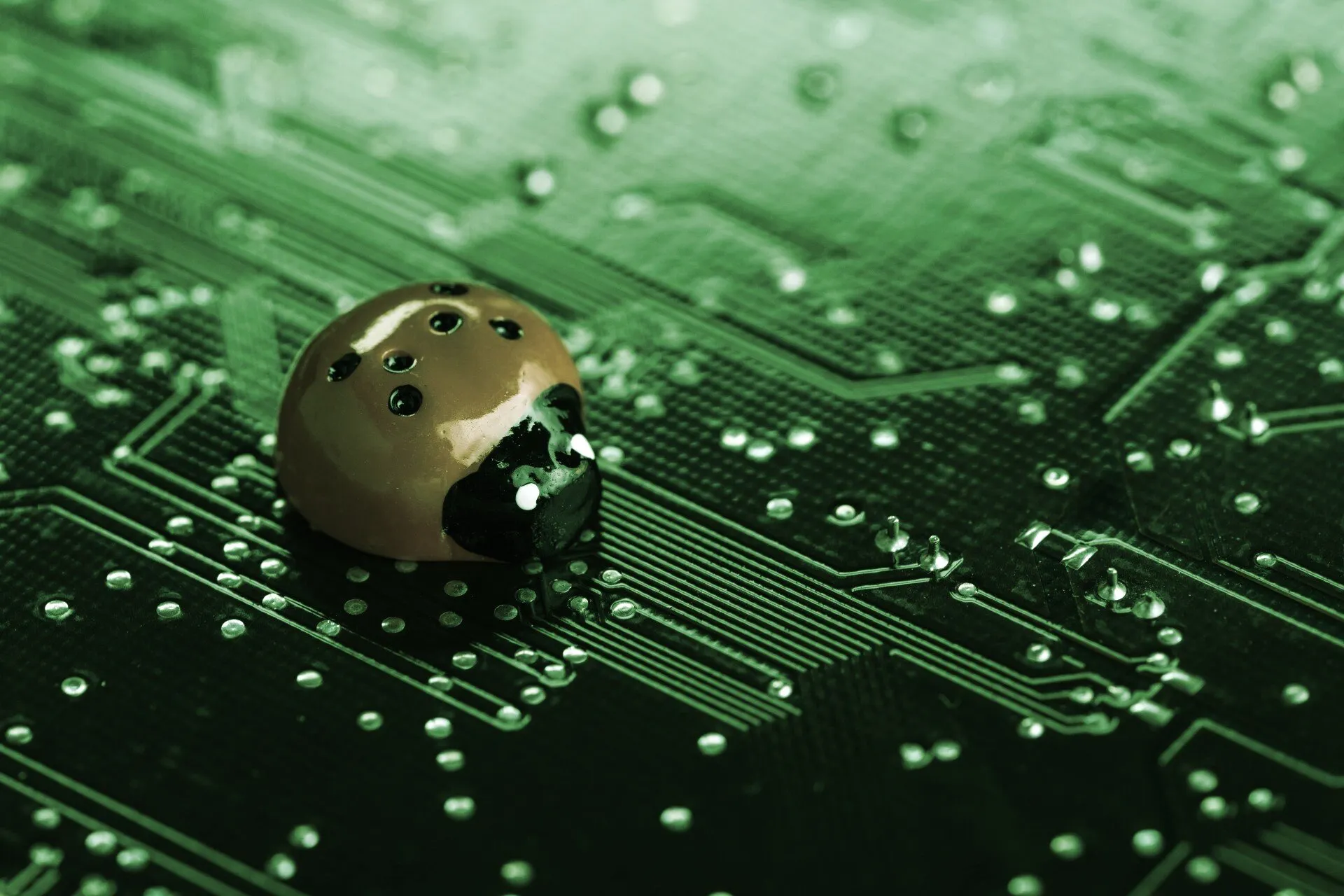 Bug bounty programs help secure DeFi protocols. Image: Shutterstock.