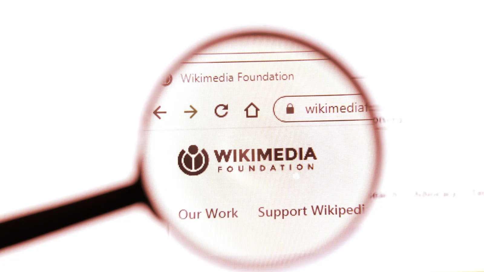 Wikimedia Foundation The Wikipedian