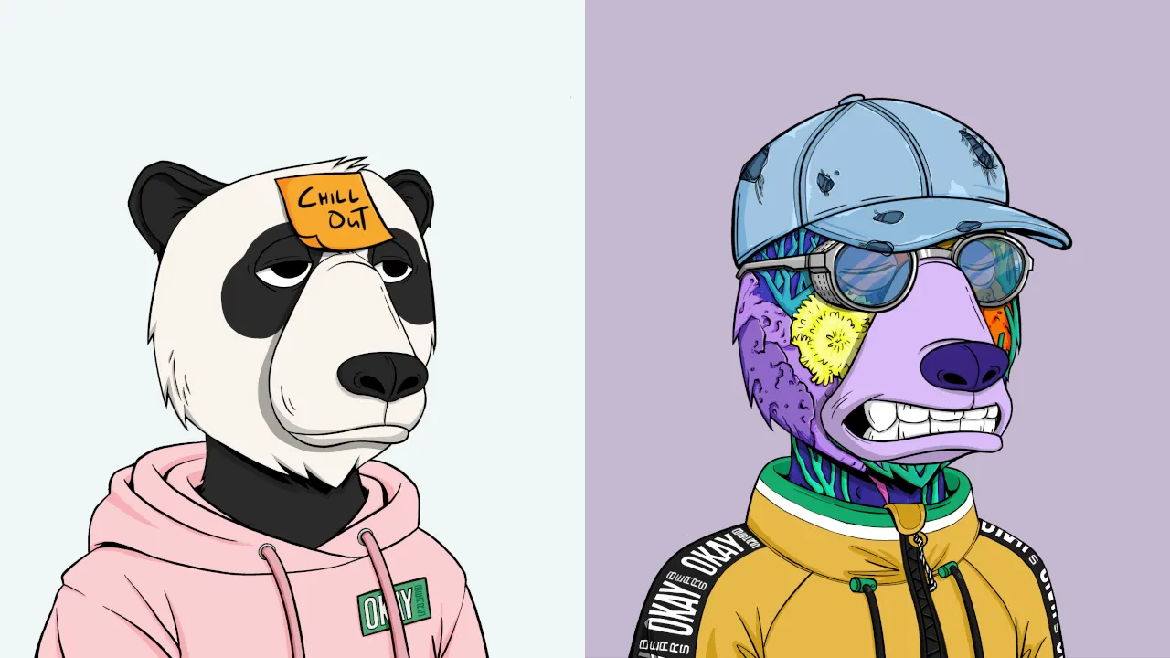 Image: Okay Bears