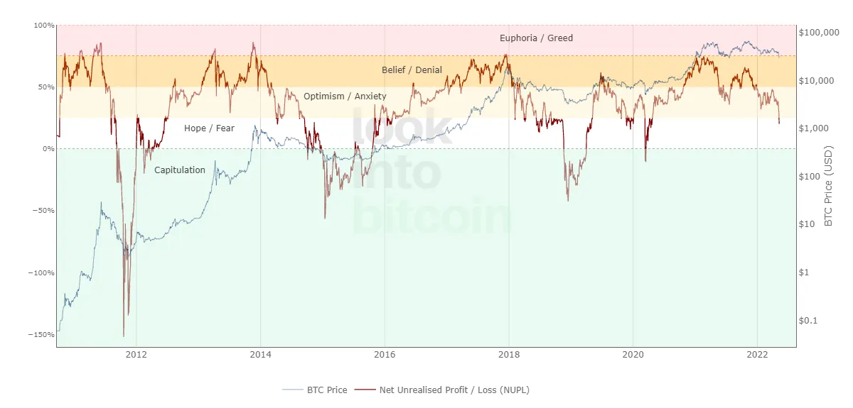 A graph showing bitcoin's price evolution over time.