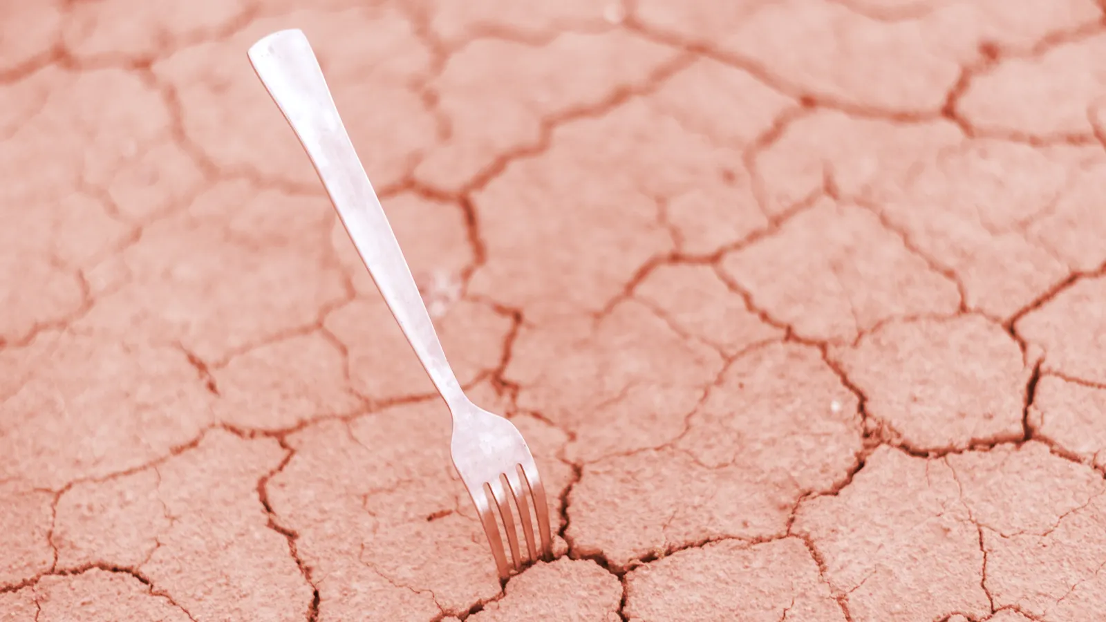 Propuesta de Hard Fork De Terra Divide a la Comunidad y Es Calificada de "Autoritaria"