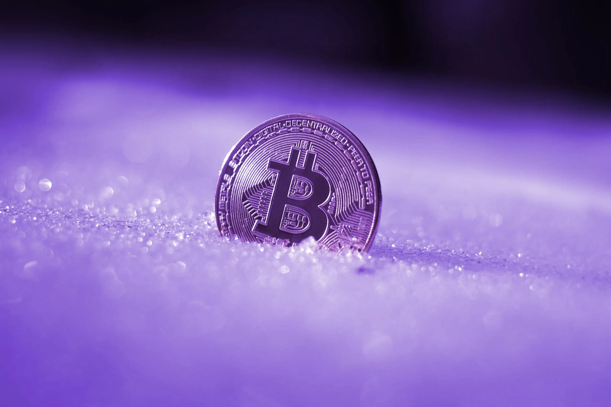 Crypto Winter by Rythik via Unsplash.
