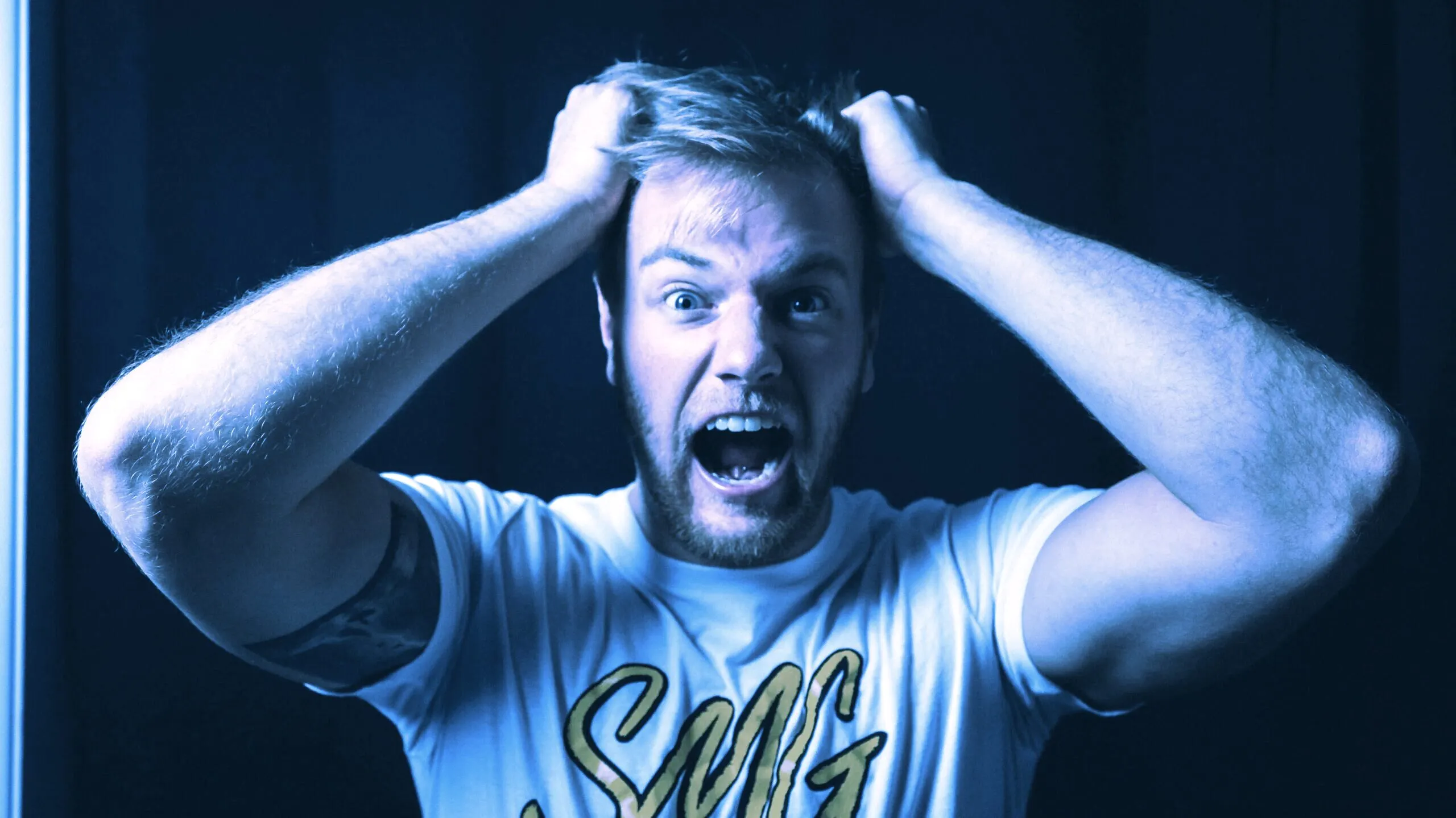 Scream by Ryan Snaadt/Unsplash