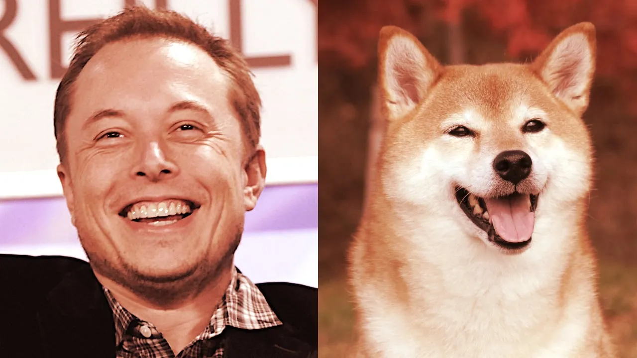 Elon Musk es un gran fan de Dogecoin. Imágenes: Shutterstock