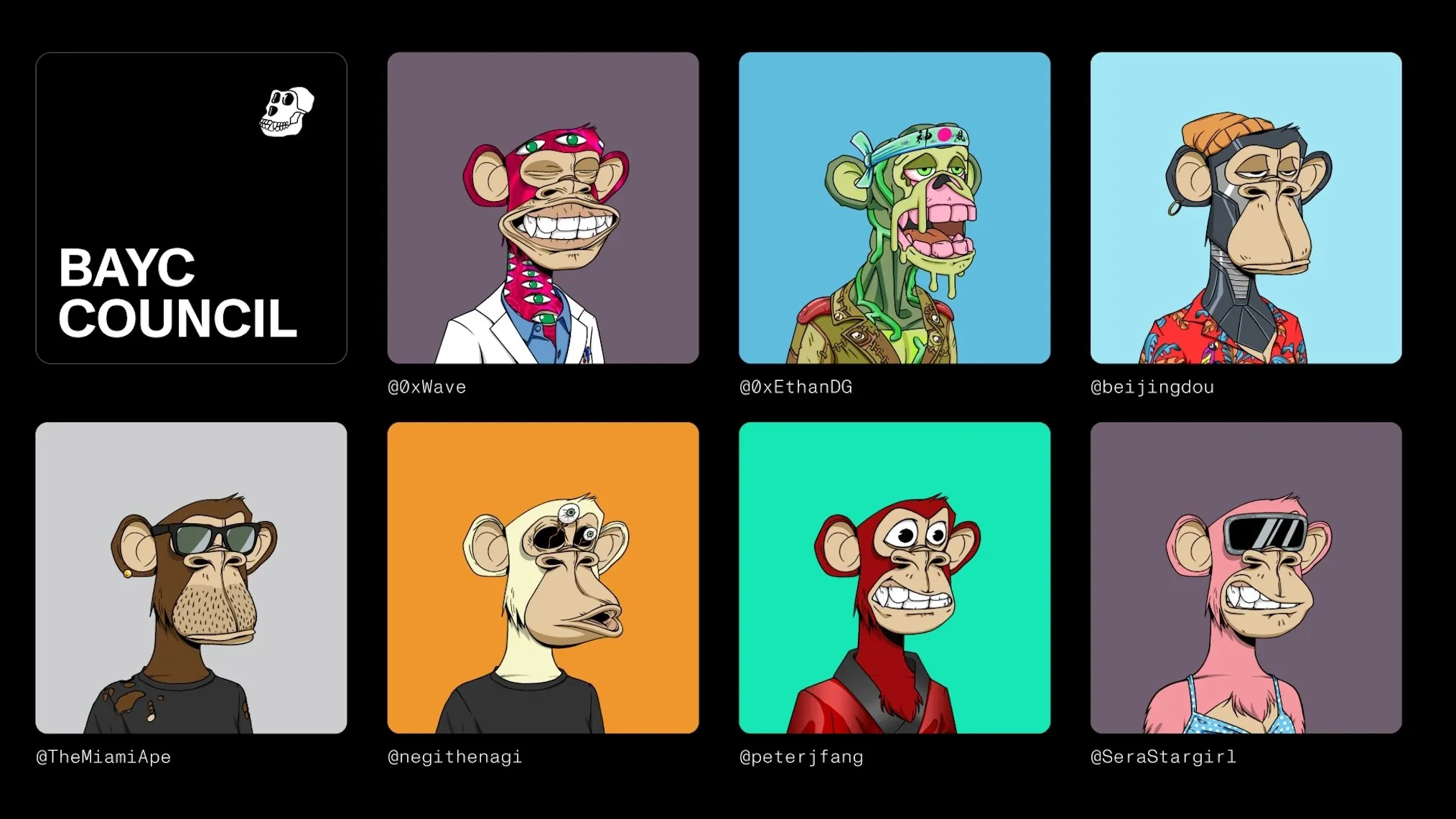 Image of BAYC council showing seven photos of 2D cartoon Apes with different-colored fur. Some wear glasses, hats, labcoats, etc.