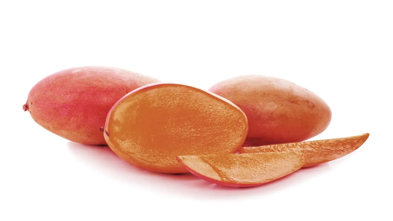 Mango Markets es una plataforma de intercambio descentralizada basada en Solana. Imagen: Shutterstock.