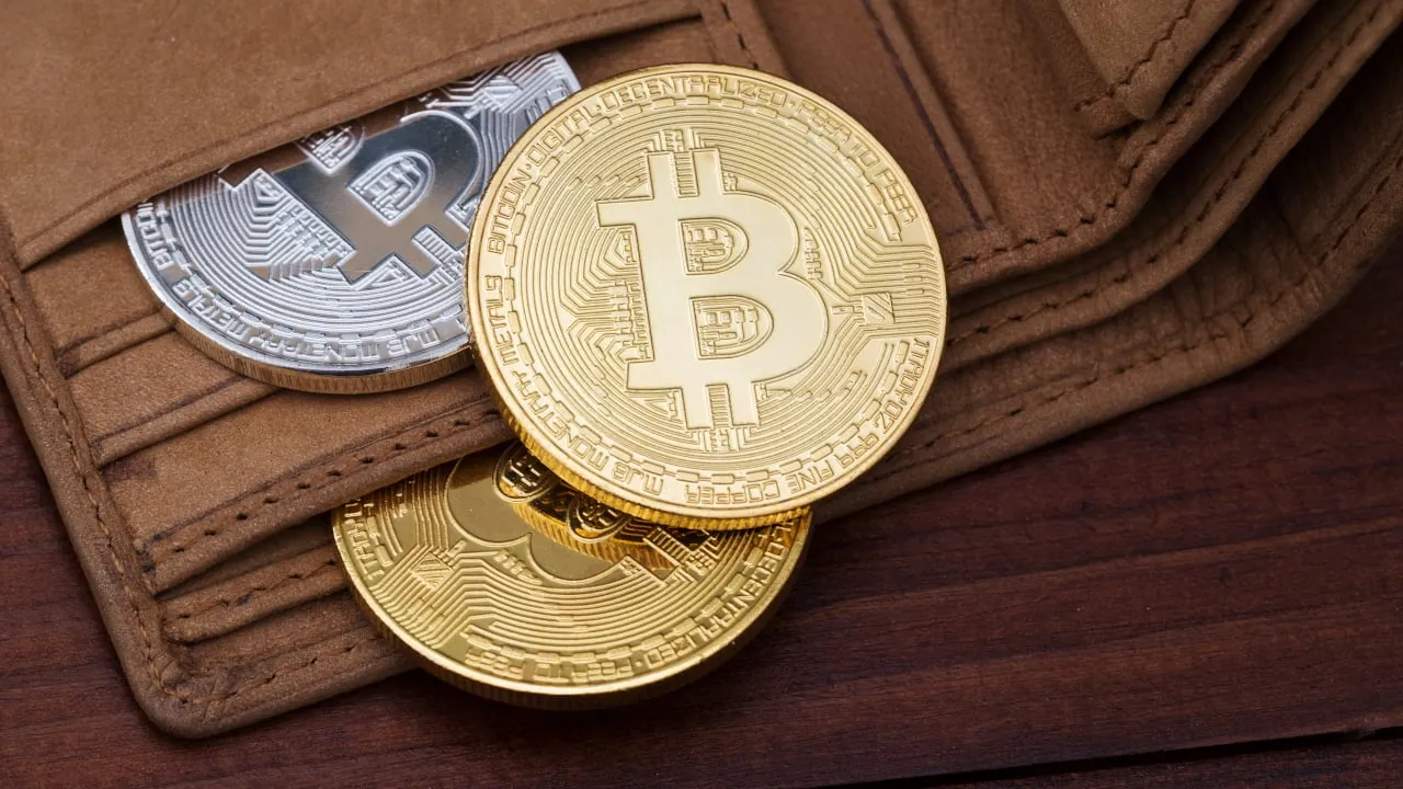What's in your Bitcoin wallet? Image: Shutterstock