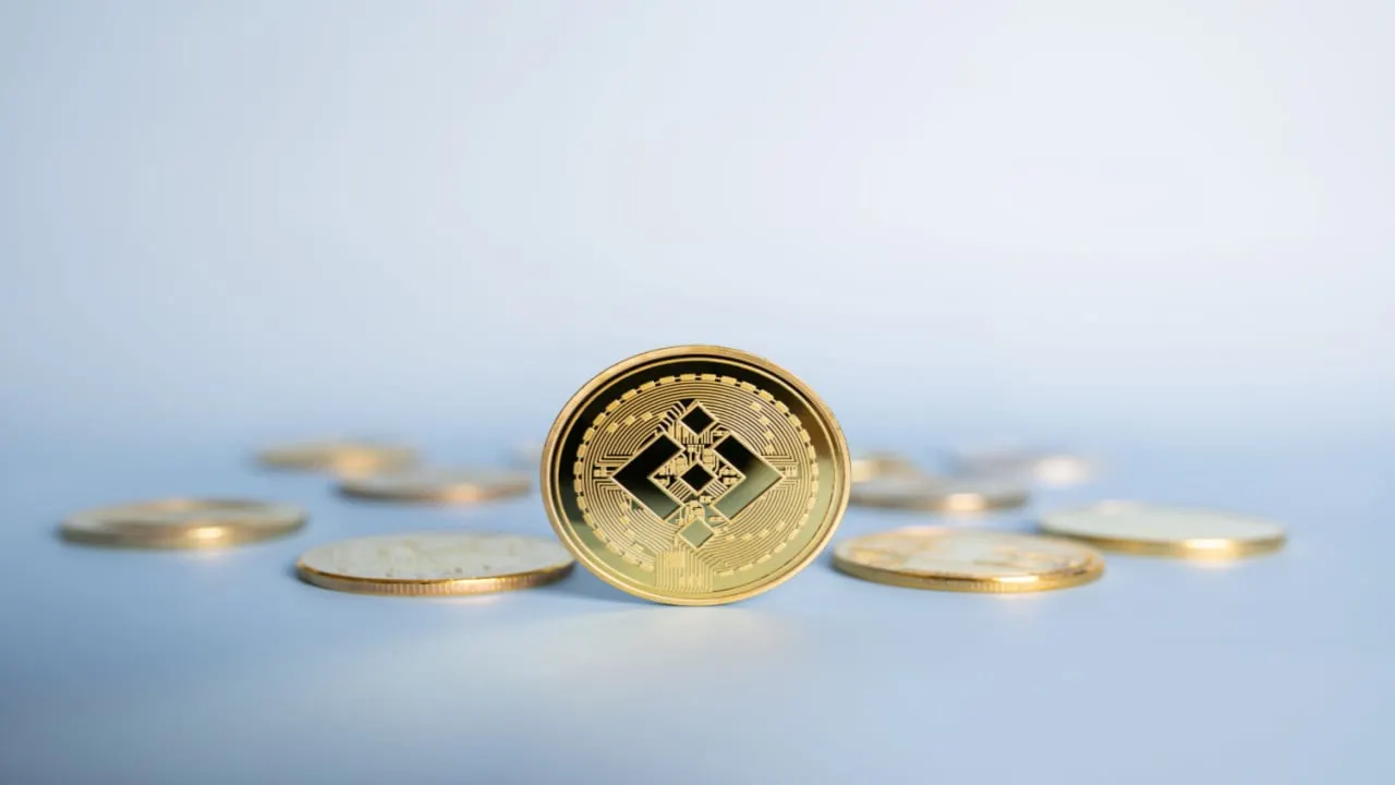 Binance's native cryptocurrency is called BNB. Image: Shutterstock.