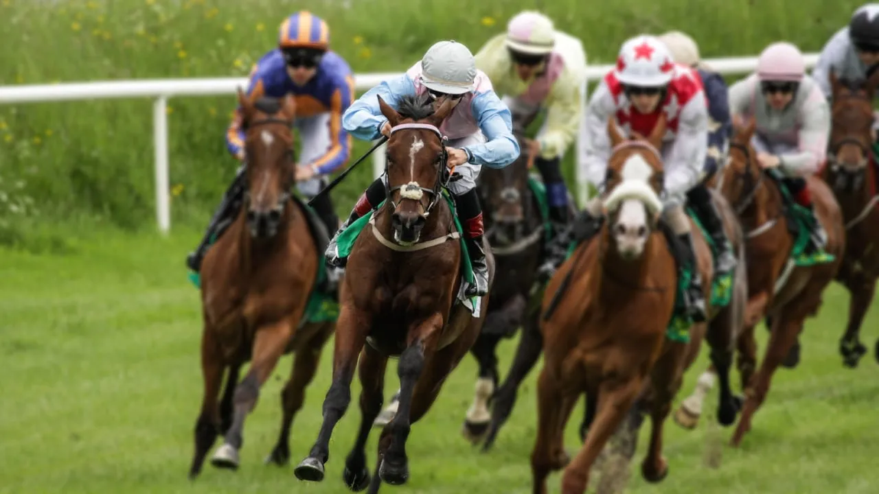 Horse racing. Image: Shutterstock