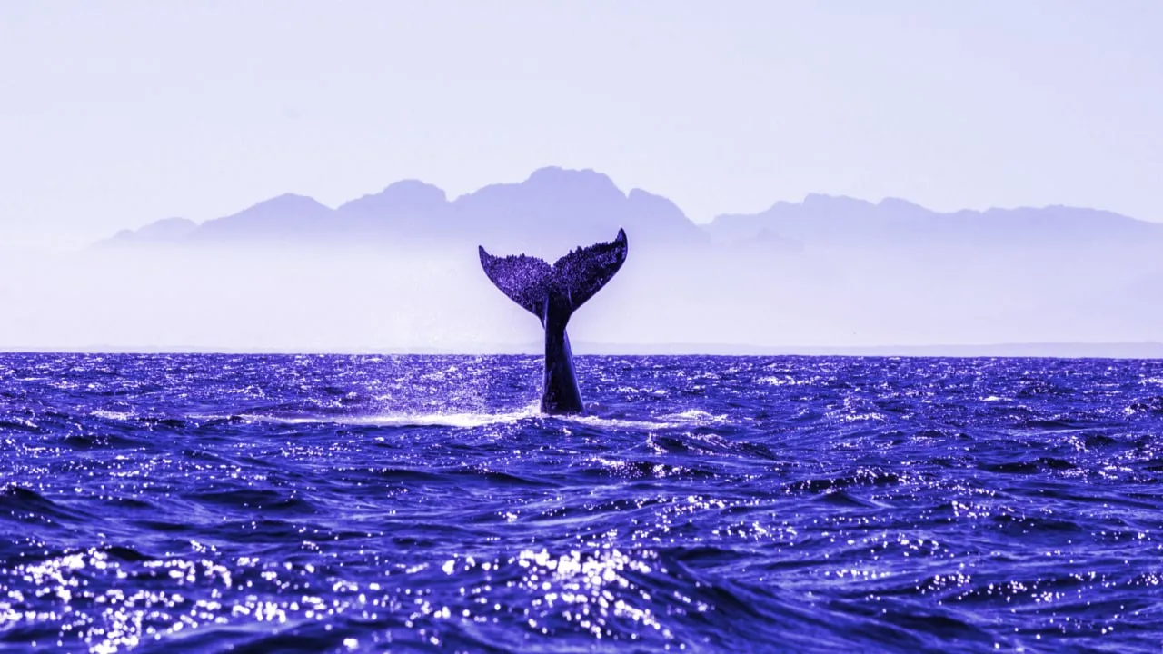 Large token holders are called whales in crypto. Image: Shutterstock.