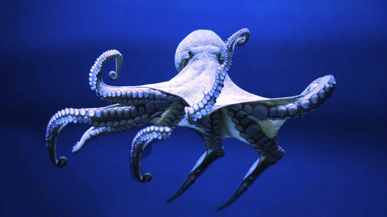 Octopus Network is a crypto project built on the Near Protocol. Image: Shutterstock.