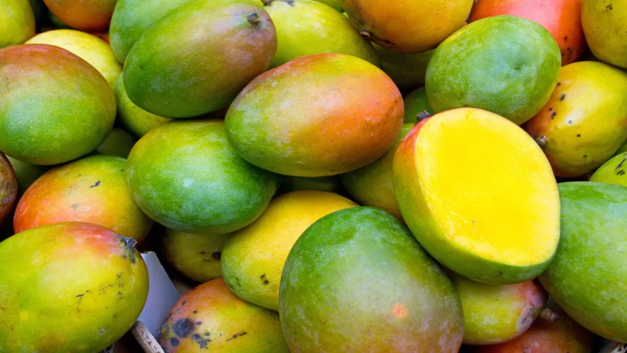 Mango Markets was hacked in October 2022. Image: Shutterstock.