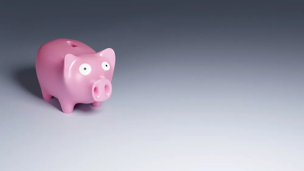 Sats in a piggy bank. Image: Shutterstock