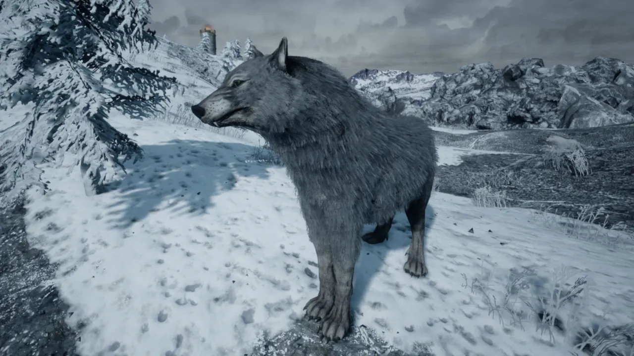 Image: Equilibrium Games