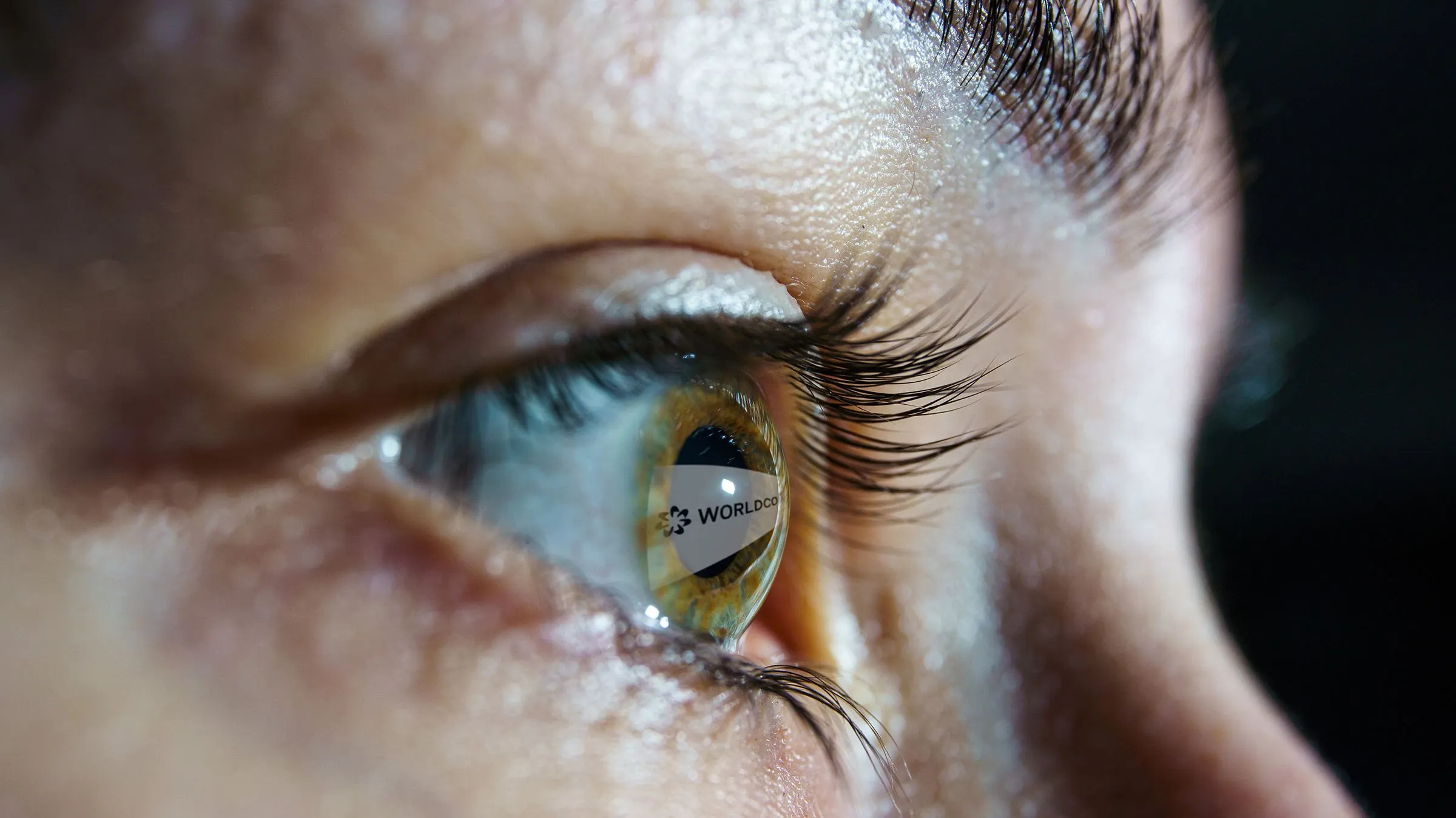 WorldCoin Eye. Image: Rokas Tenys/Shutterstock.com