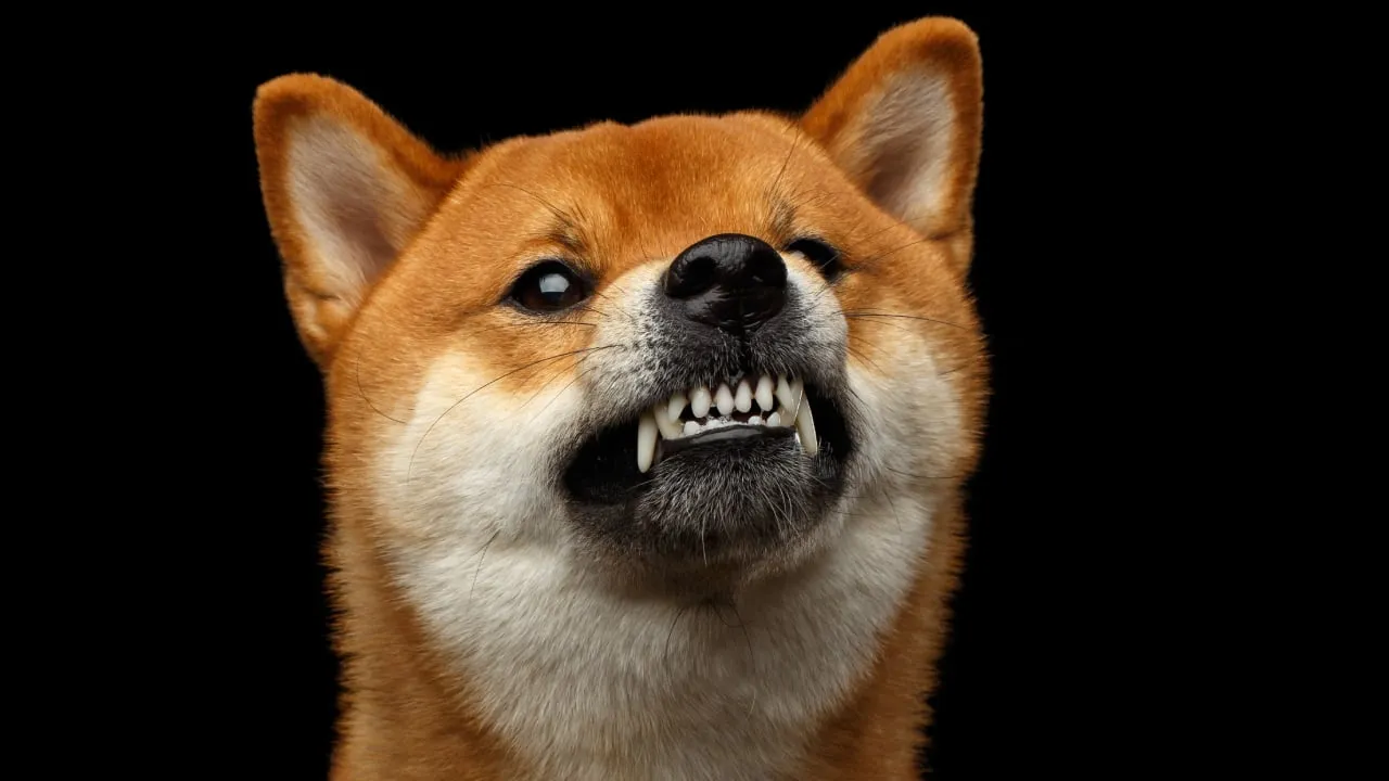 The move to switch to proof of stake has some members of the Dogecoin community riled up. Image: Shutterstock.