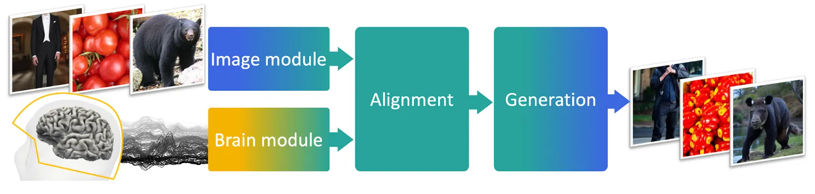 Diagram of Meta's thought decoding technique