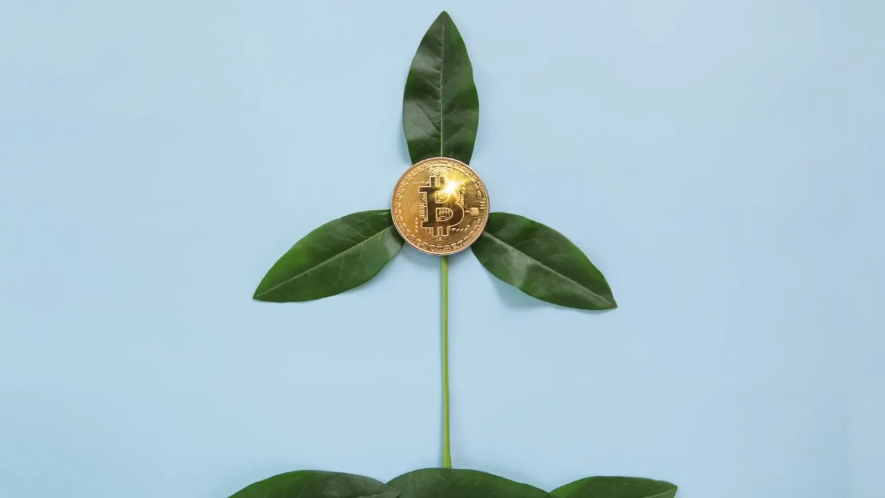 Bitcoin and renewable energy. Image: Shutterstock