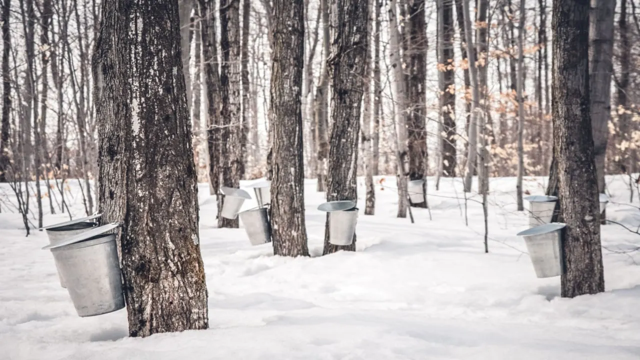 Maple Finance lets firms launch their own credit facilities on a blockchain. Image: Shutterstock.