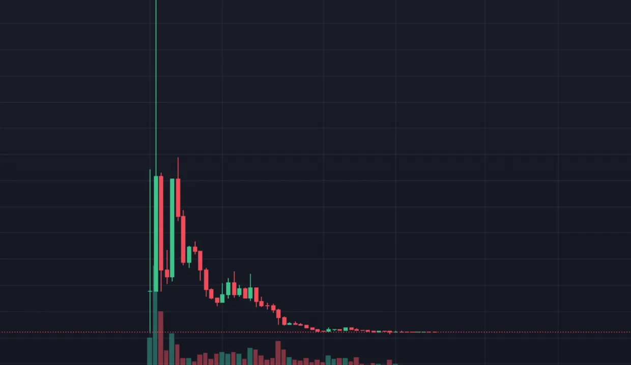 A typical meme coin price chart