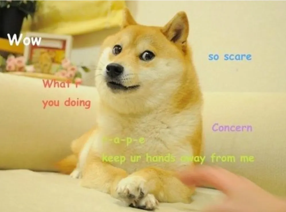 Original dogecoin meme 