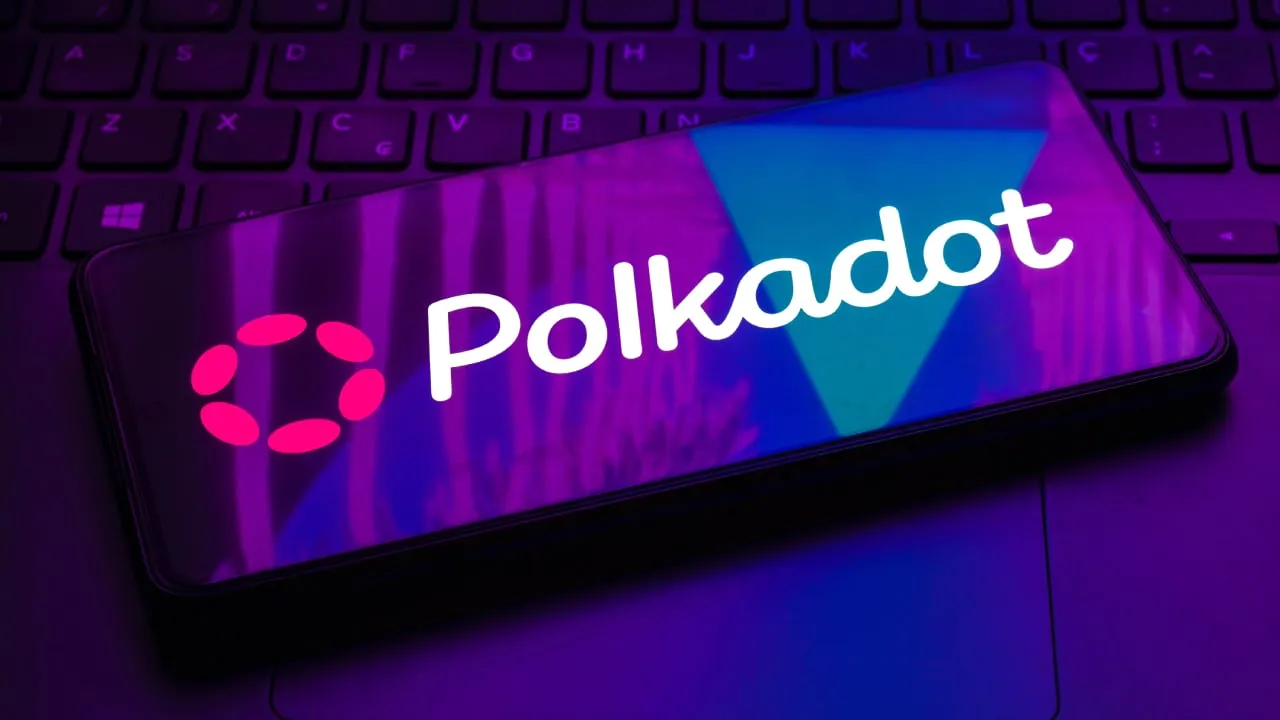 Polkadot. Image: Shutterstock