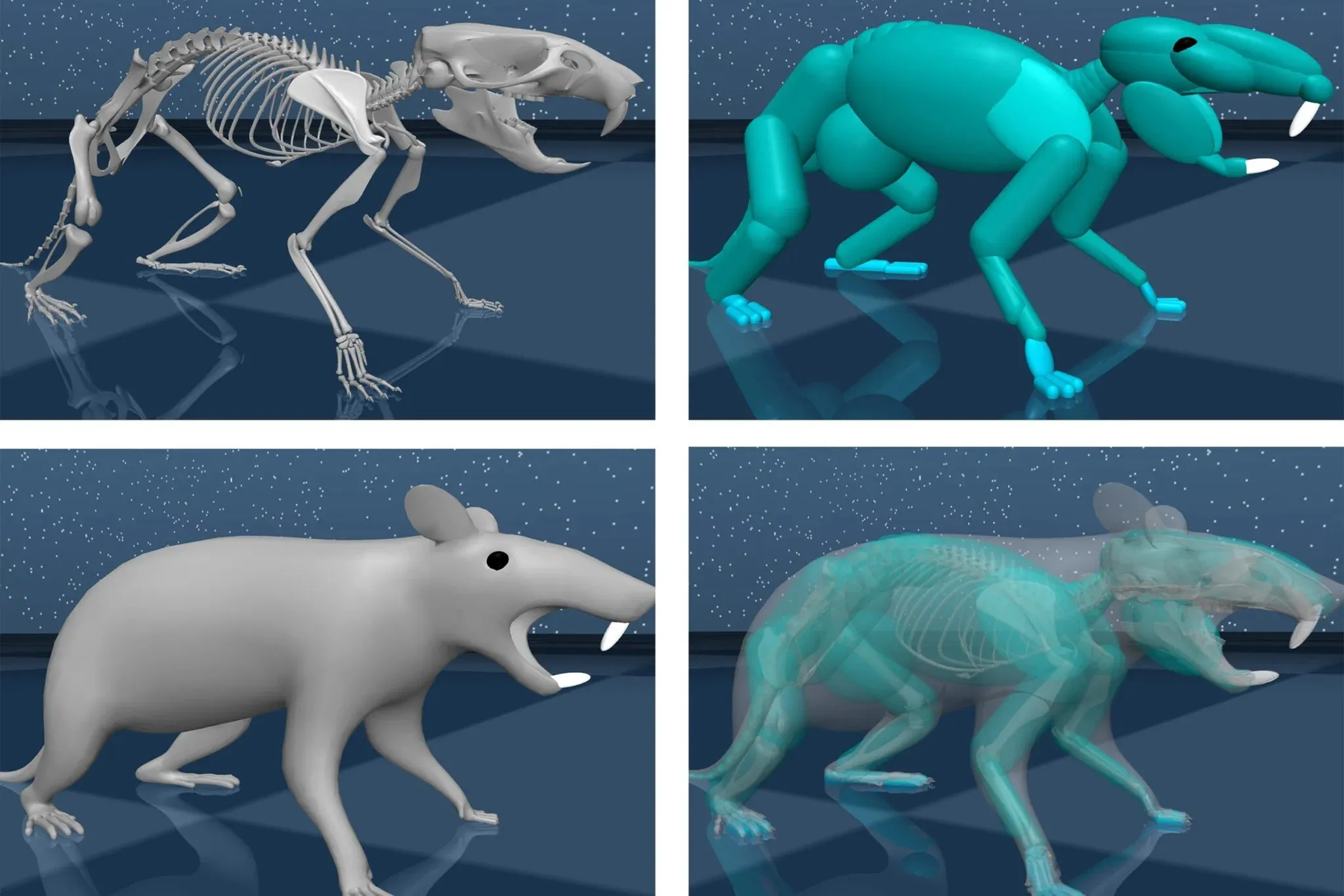 Renders of the digital rat created by Google Deepmind