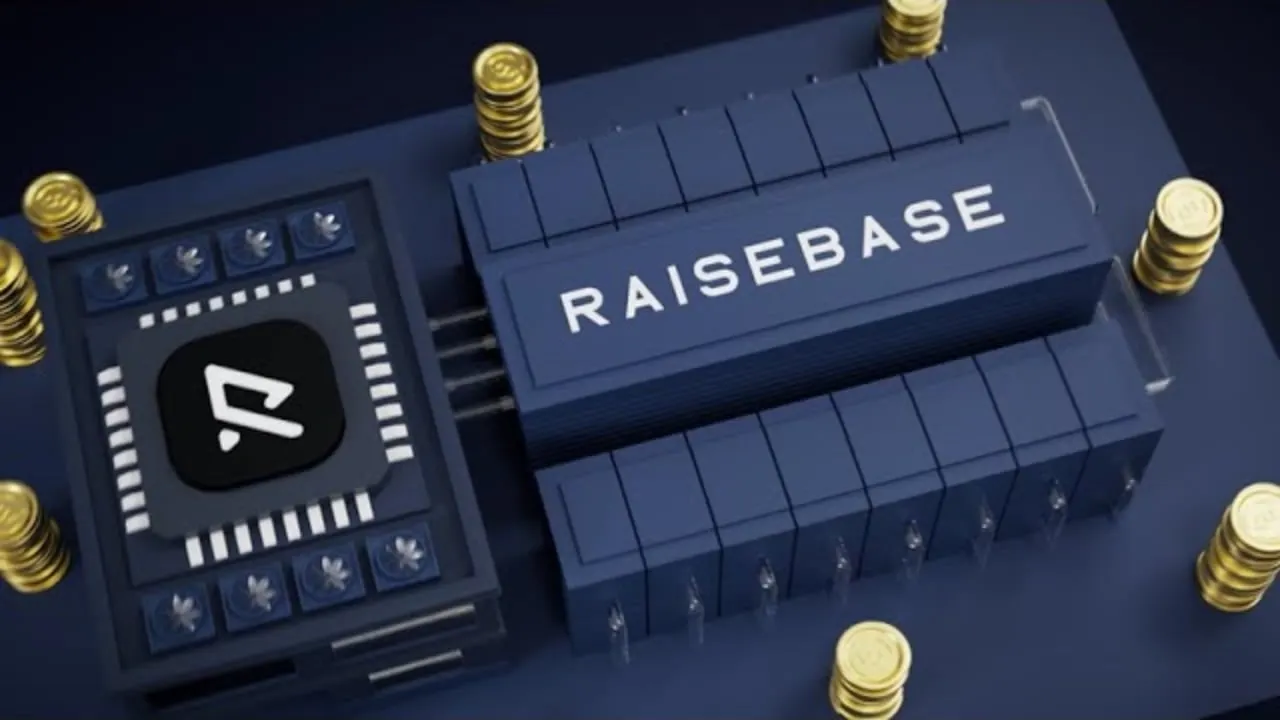 Image: Raisebase