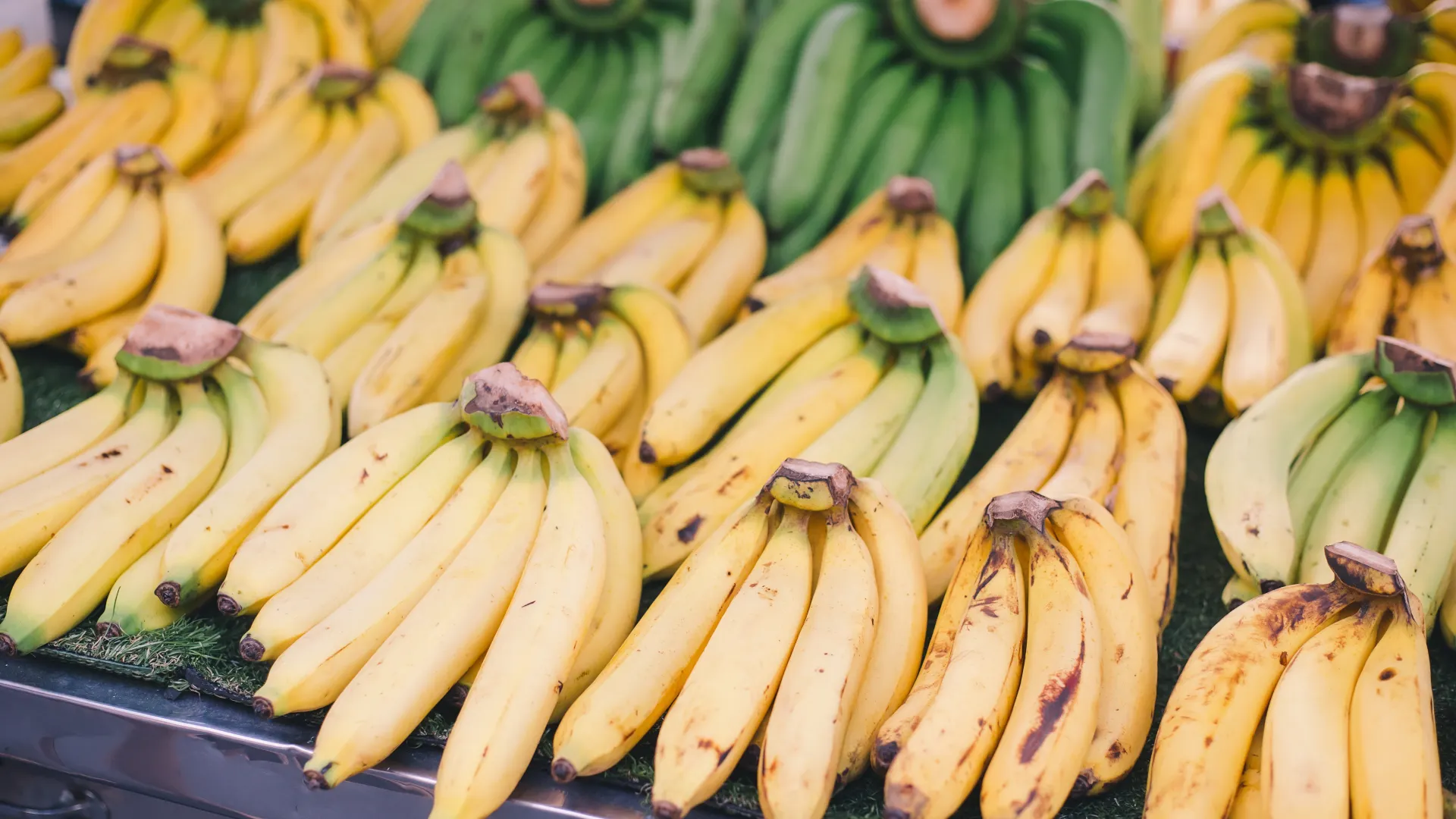 Bananas. Photo: Shutterstock